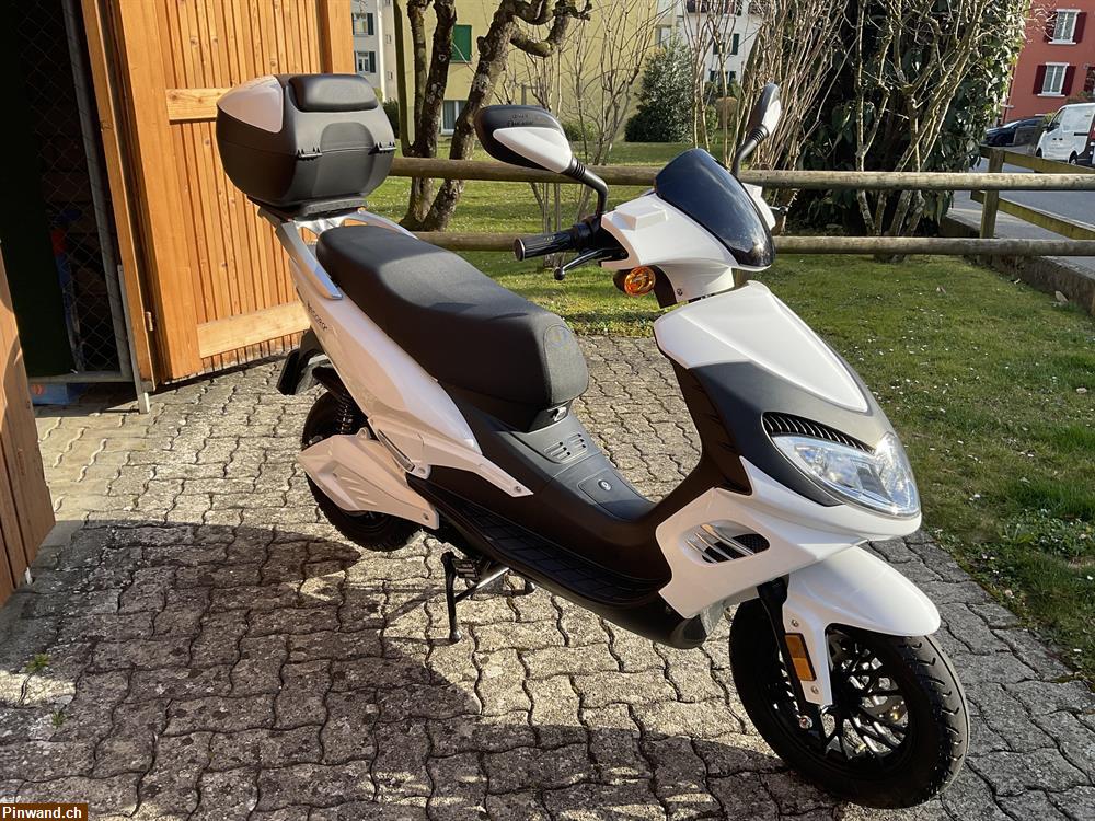 Bild 1: Neuwertiger Roller/ Elektroroller zu verkaufen