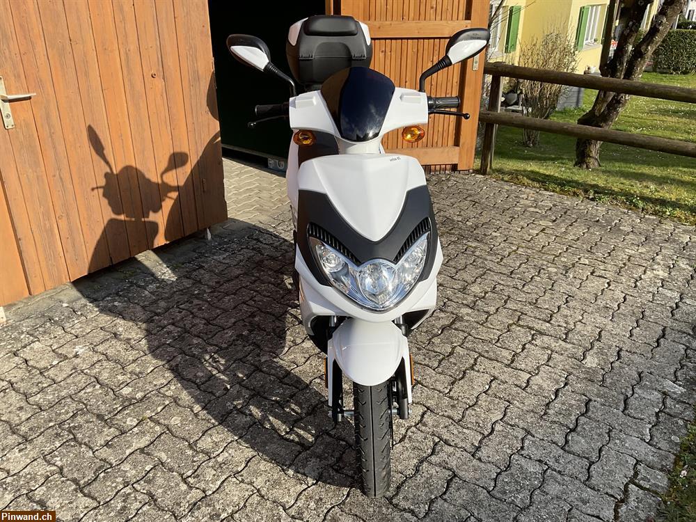 Bild 2: Neuwertiger Roller/ Elektroroller zu verkaufen