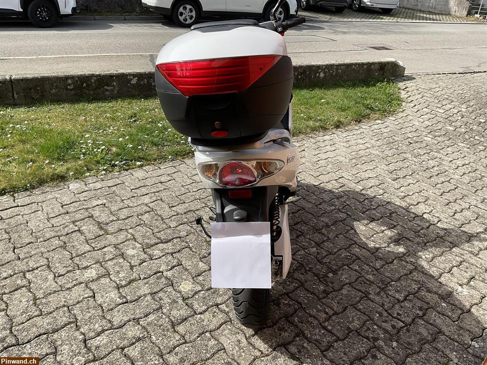 Bild 3: Neuwertiger Roller/ Elektroroller zu verkaufen