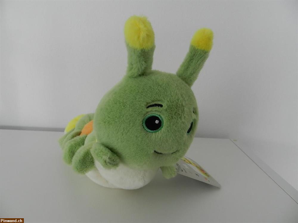 Bild 2: Raupe Caterpillar Plüschraupe Freddy zu verkaufen