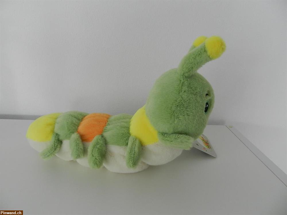 Bild 3: Raupe Caterpillar Plüschraupe Freddy zu verkaufen
