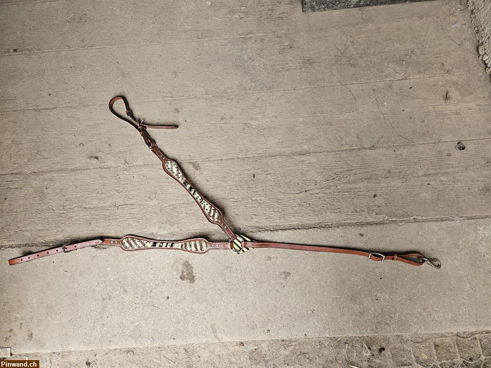 Bild 2: Vorderzeug zu verkaufen