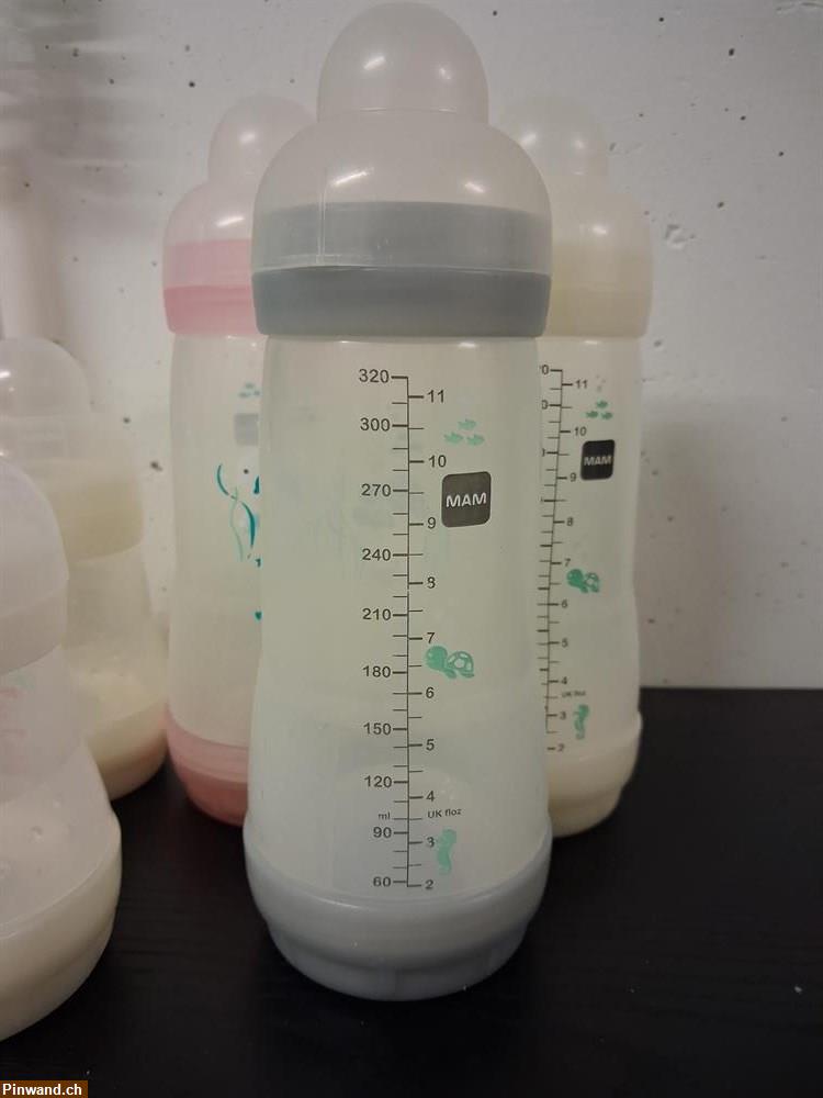 Bild 3: Mam Schoppen zu verkaufen