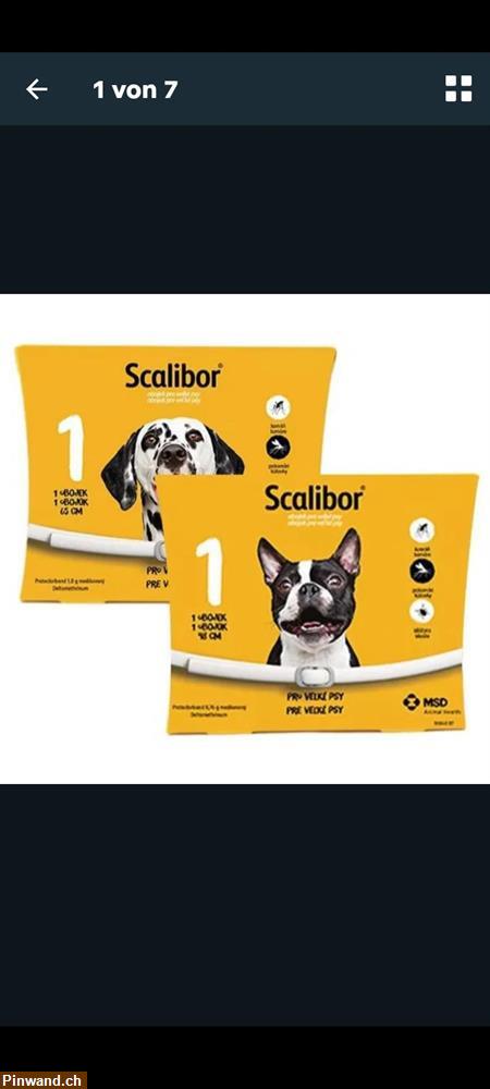 Bild 1: Scalibor Zeckenhalsband zu verkaufen