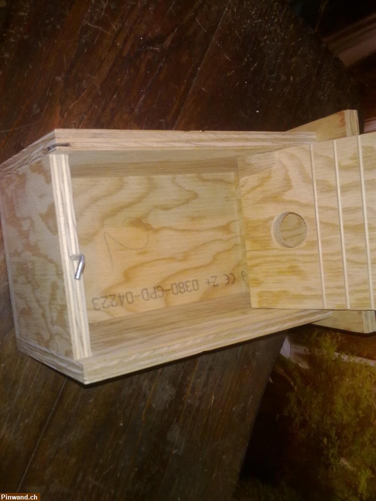 Bild 3: 2 coole Vogelhäuschen / Nistkasten zu verkaufen