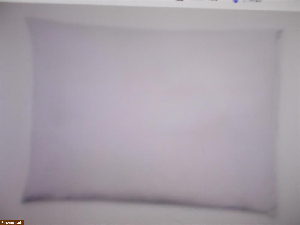 Bild 1: Hirsenkissen zu verkaufen