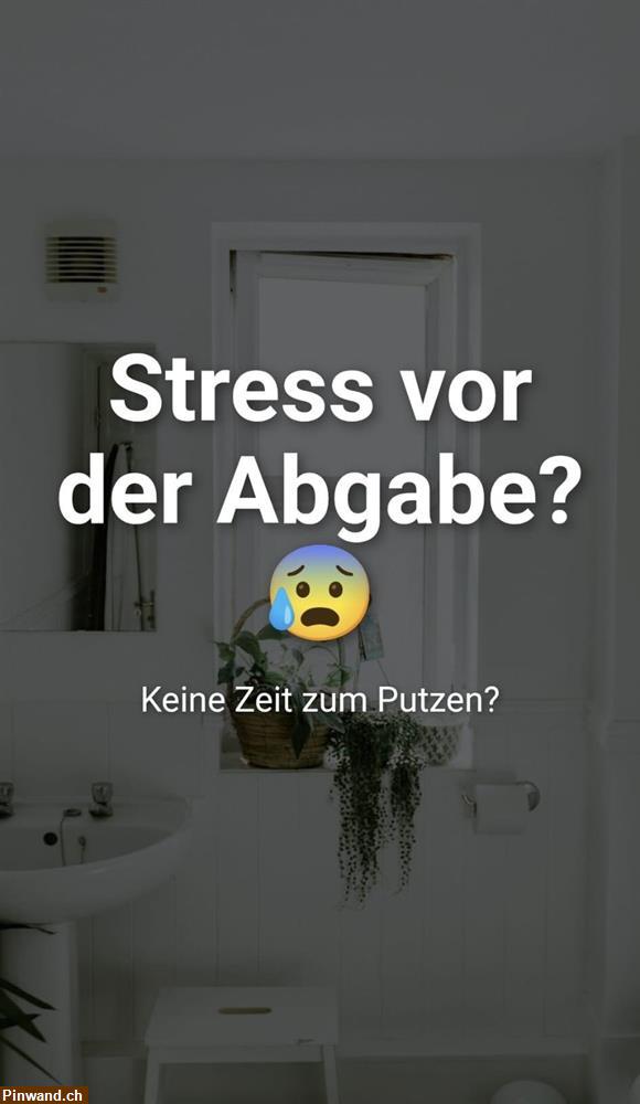 Bild 2: Umzug geplant? Professionelle Endreinigung
