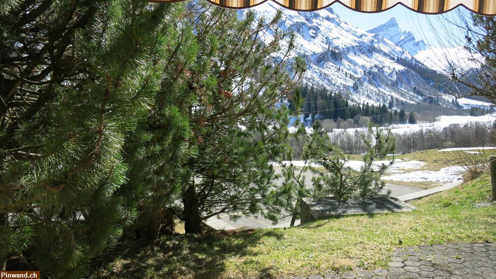 Bild 4: Splügen GR: 2,5 Zimmerwohnung + 1 Studio