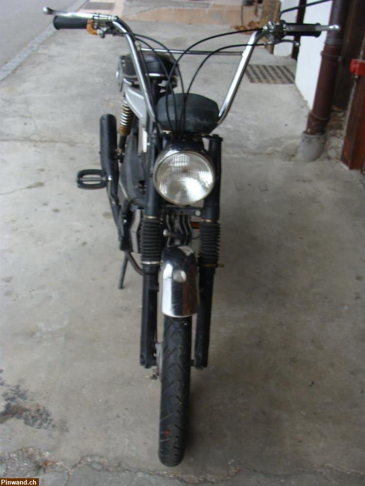 Bild 4: Mofa  KTM 503 GTX KAT zu verkaufen