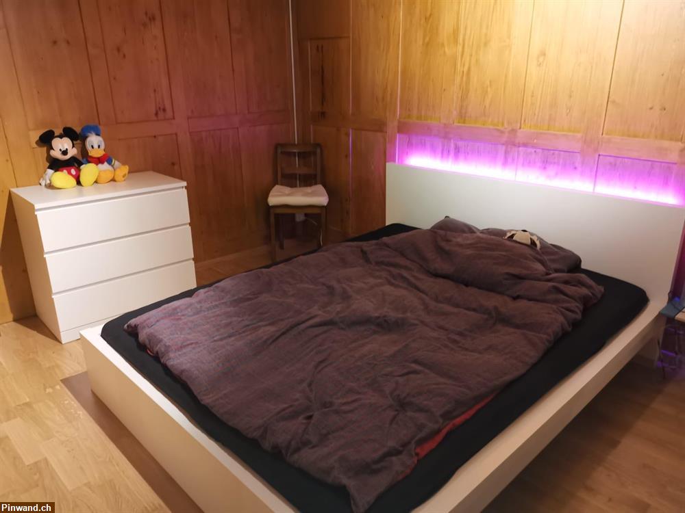 Bild 4: 3.5 Z-Wohnung in 2-Familienhaus zu vermieten