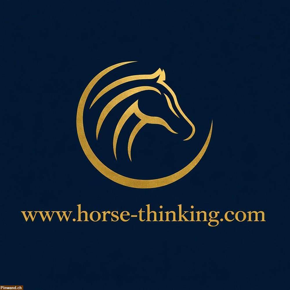 Bild 1: Horse Thinking – Fachkompetenz im Pferdetraining und Coaching