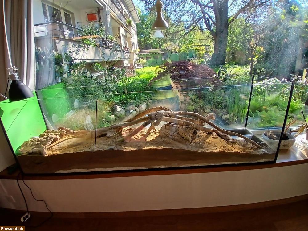 Bild 1: Gratis abzugeben ein grosses Terrarium