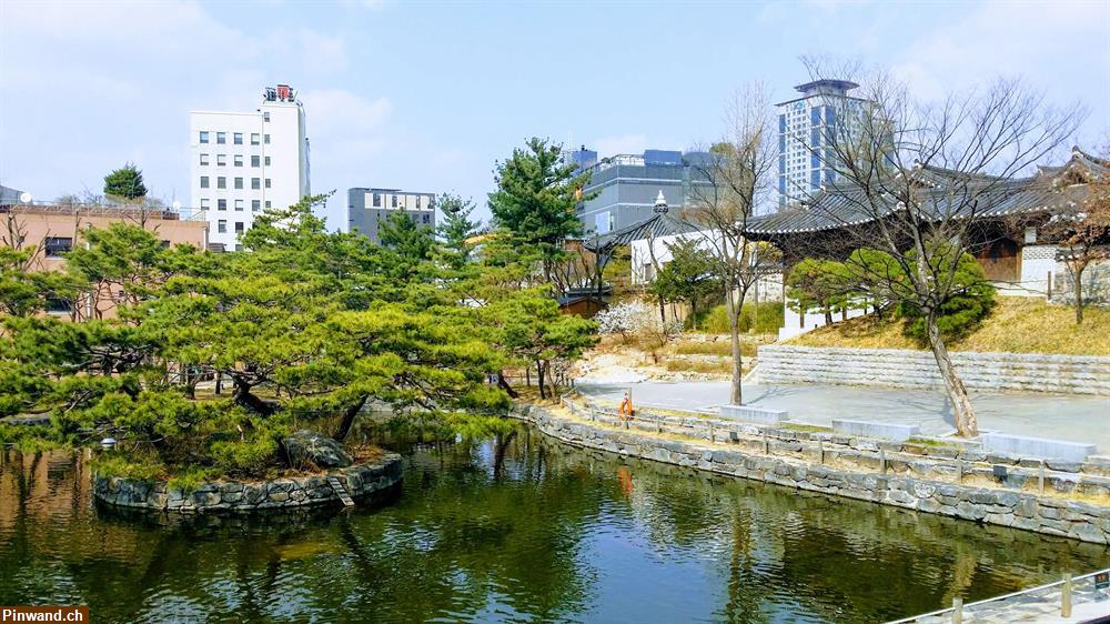 Bild 1: Koreanisch Unterricht in Winterthur