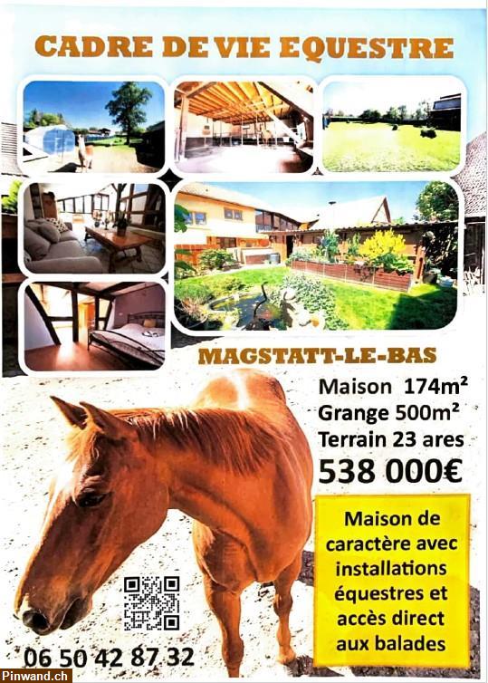 Bild 1: Immobilie im Elsass mit Möglichkeit für Pferdehaltung