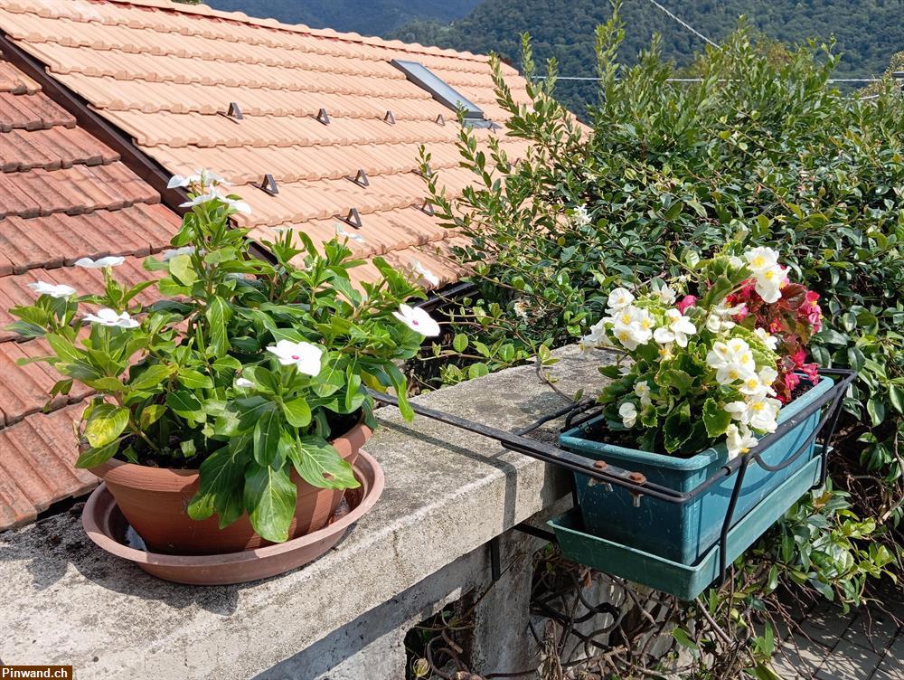Bild 15: Ferienhaus zu vermieten in Italien in der Nähe von Lago Maggiore
