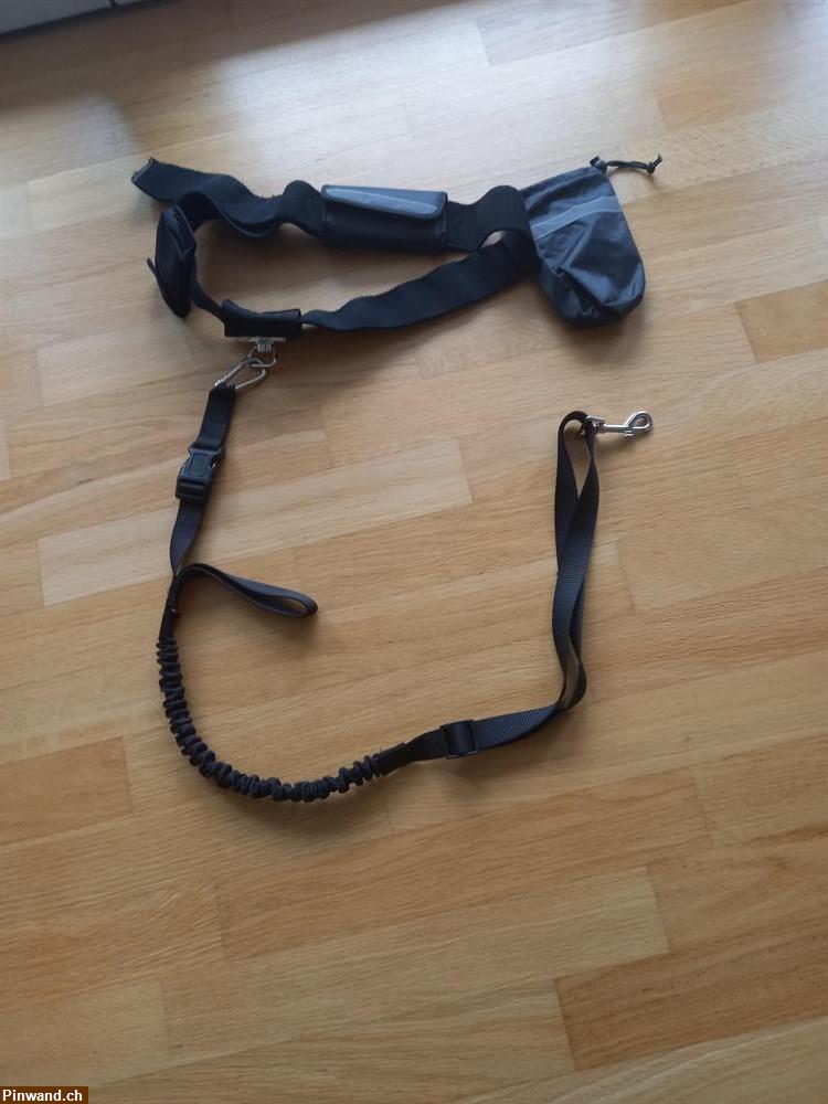 Bild 1: Hunde Joggingleine zu verkaufen