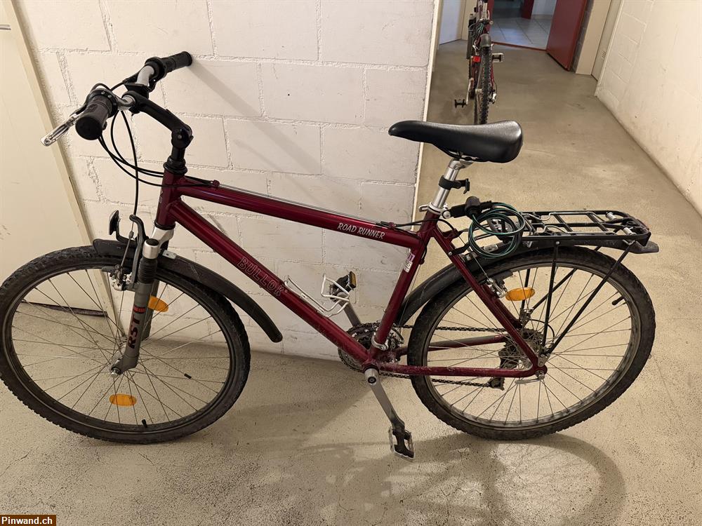 Bild 1: Top Velo Bullok zu verkaufen