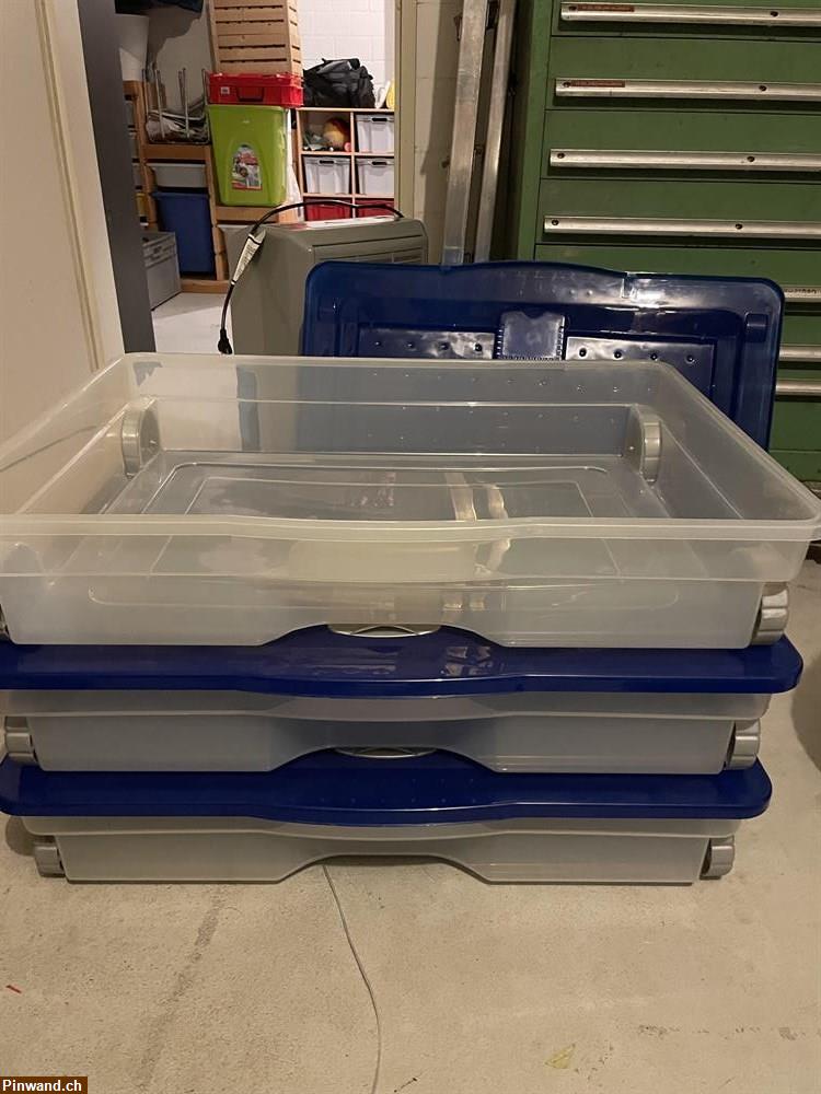 Bild 2: 3 Aufbewahrungsboxen zu verkaufen