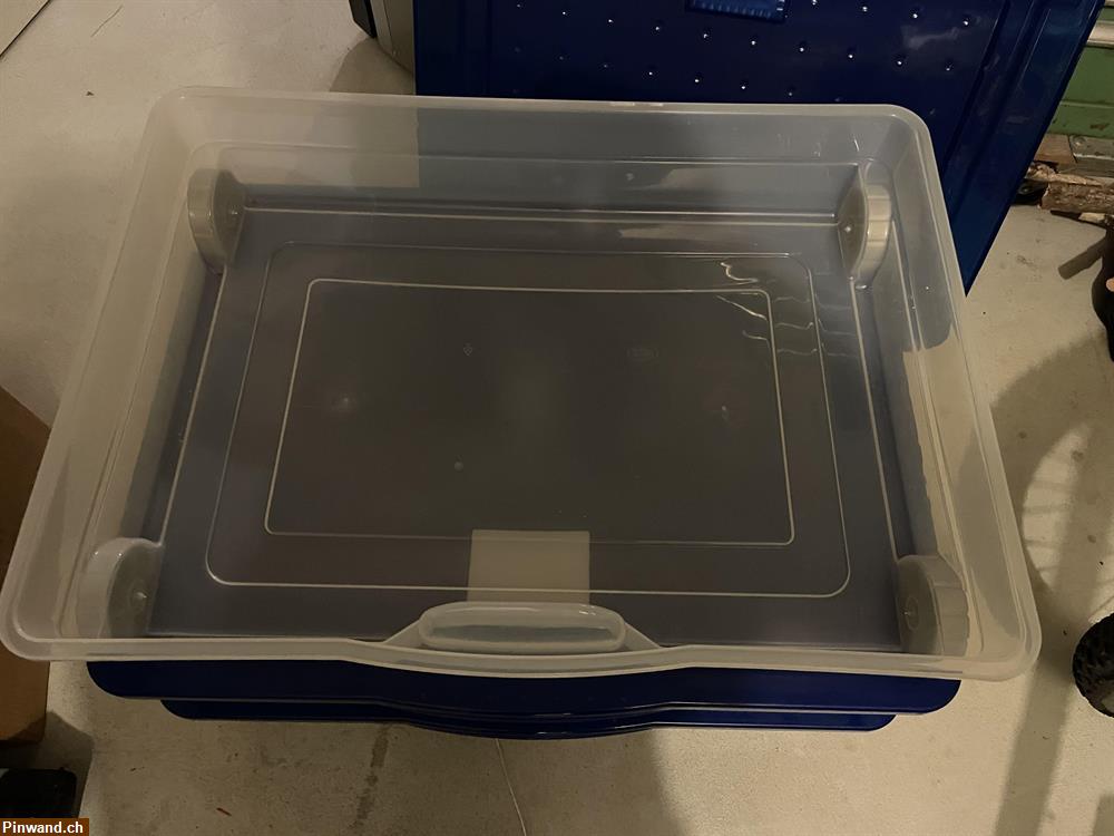 Bild 3: 3 Aufbewahrungsboxen zu verkaufen