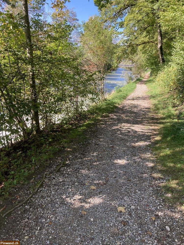 Bild 1: Hundesitting mit Herz im Raum Wila