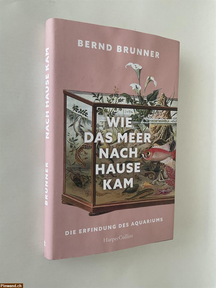 Bild 1: Bernd Brunner: WIE DAS MEER NACH HAUSE KAM