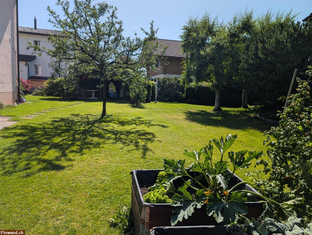 Bild 14: 3.5-Zimmer-Maisonettewohnung zu vermieten