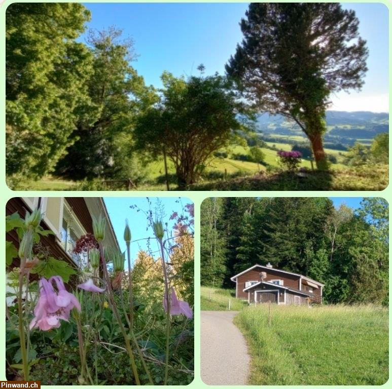 Bild 1: Idyllisches Ferienhäuschen mit Garten zu vermieten