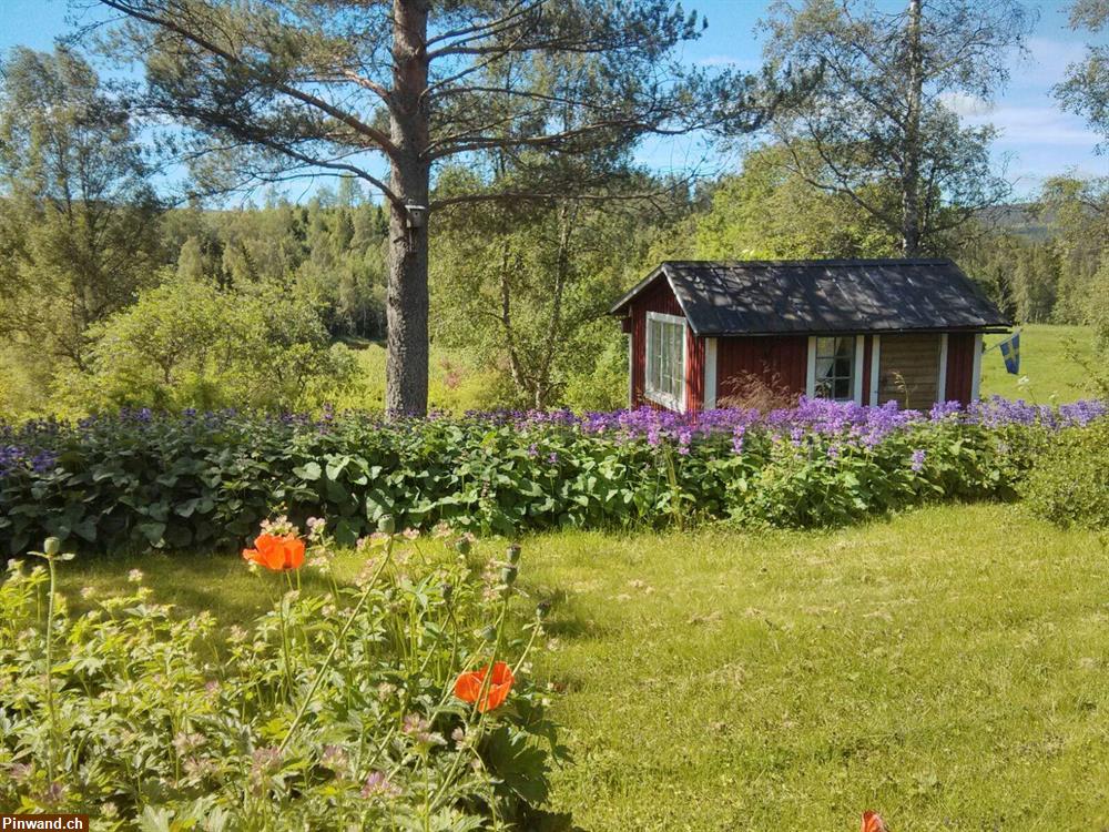 Bild 4: Ferienhaus in Mittelschweden zur Langzeitmiete