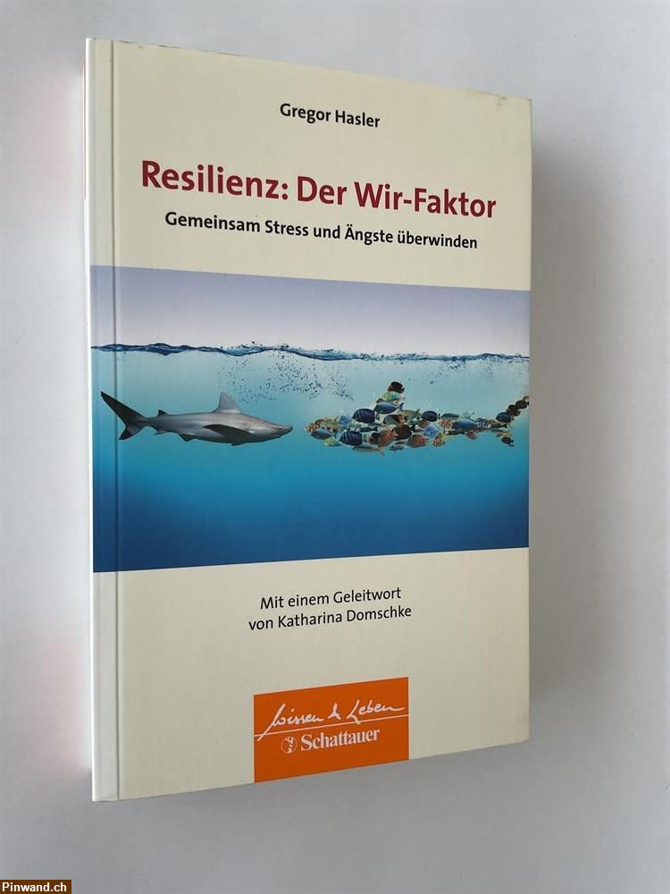 Bild 1: Gregor Hasler: Resilienz: Der Wir - Faktor