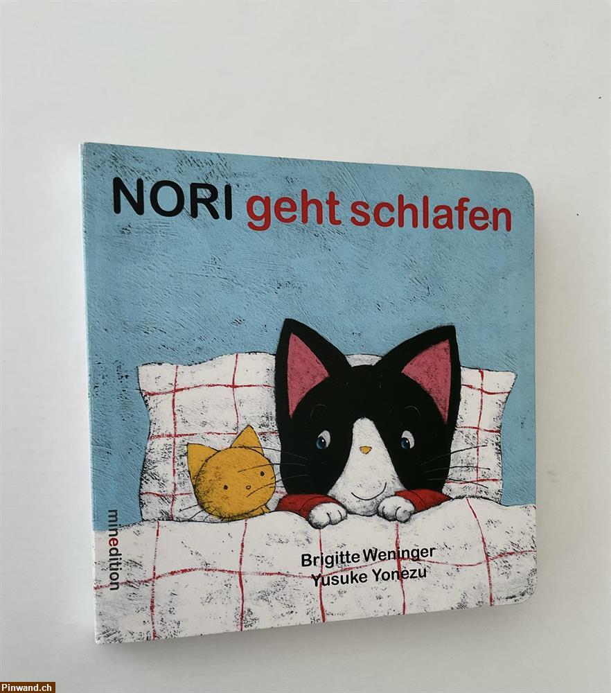 Bild 1: NORI geht schlafen