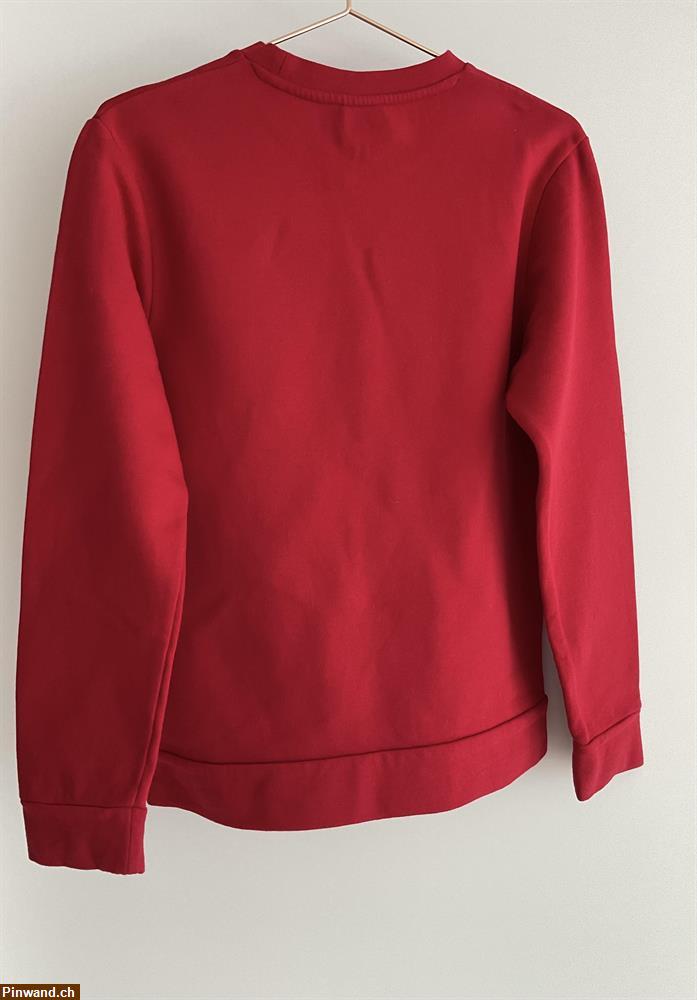 Bild 2: Sweatshirt in rot zu verkaufen