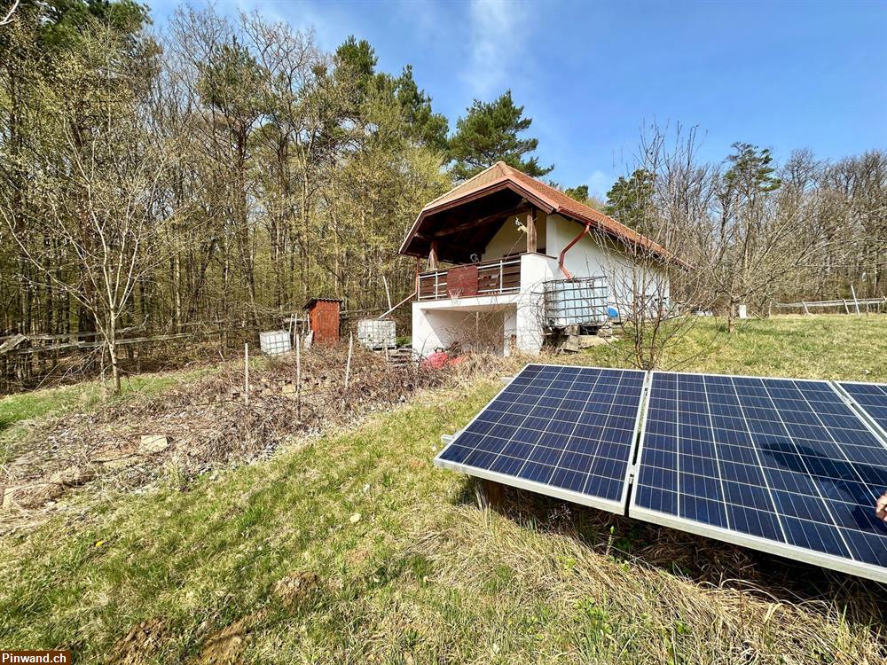 Bild 1: Weingartenhaus mit Weinberg zu verkaufen