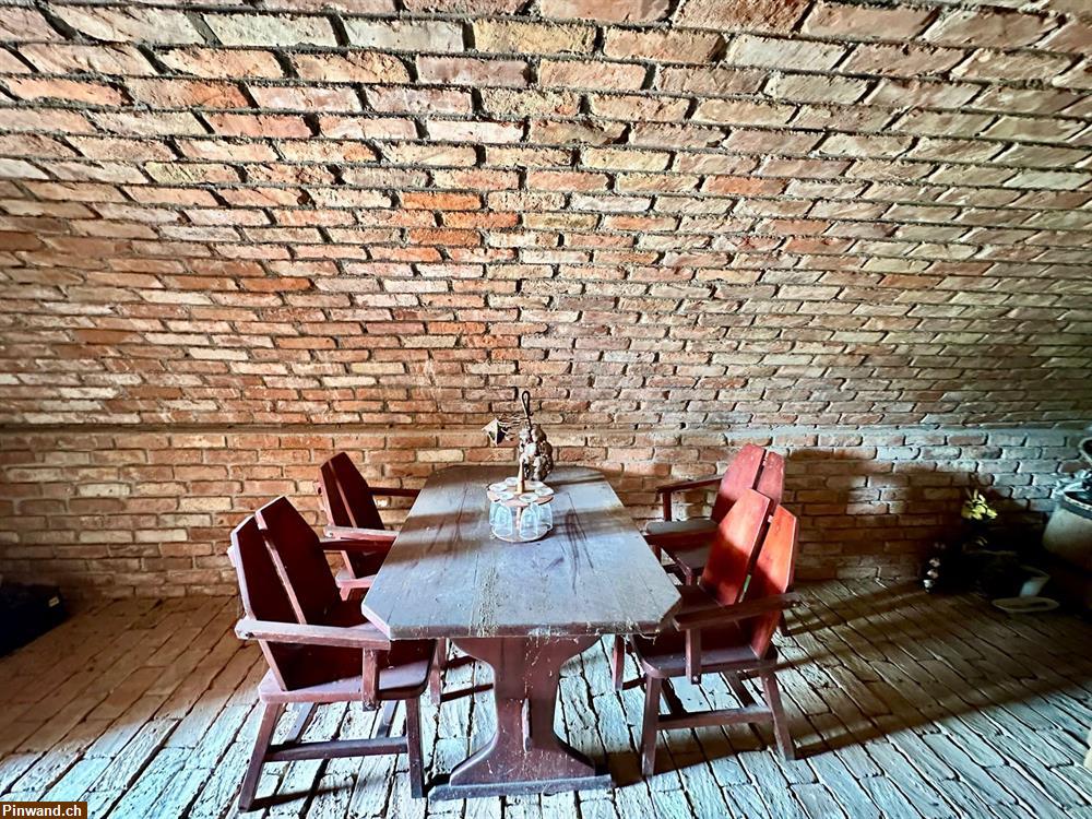 Bild 10: Weingartenhaus mit Weinberg zu verkaufen