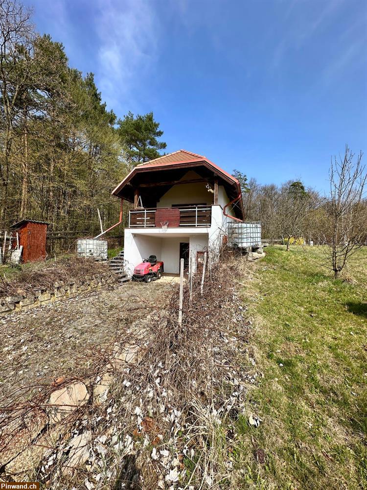 Bild 2: Weingartenhaus mit Weinberg zu verkaufen