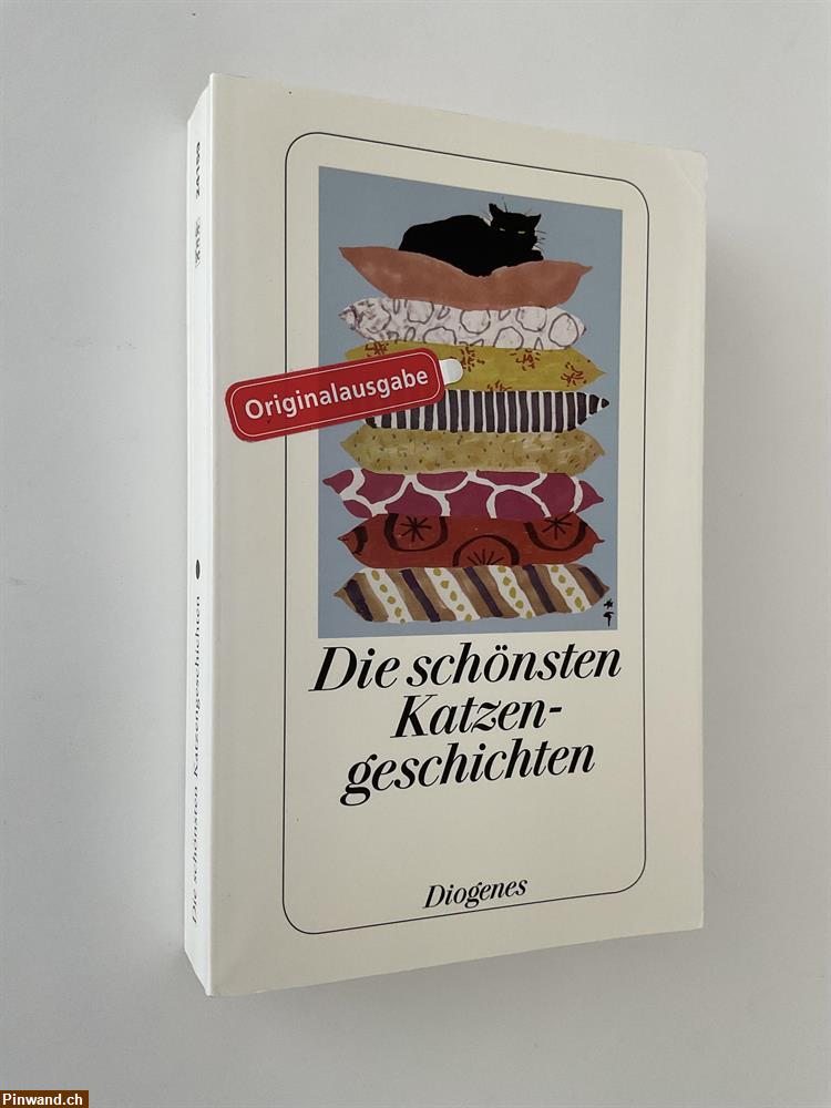 Bild 1: Die schönsten Katzengeschichten