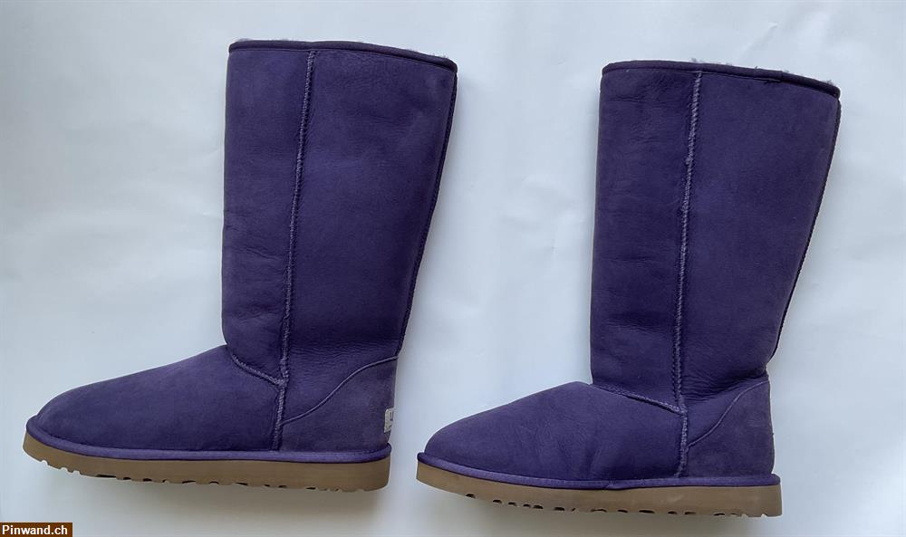 Bild 1: Stiefeln UGG violett zu verkaufen