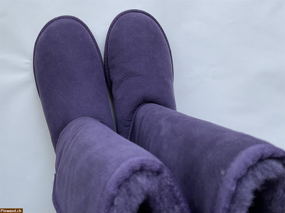 Bild 2: Stiefeln UGG violett zu verkaufen