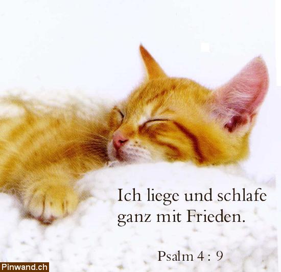 Bild 1: Bibel-Psalm: Ich liege und schlafe ...