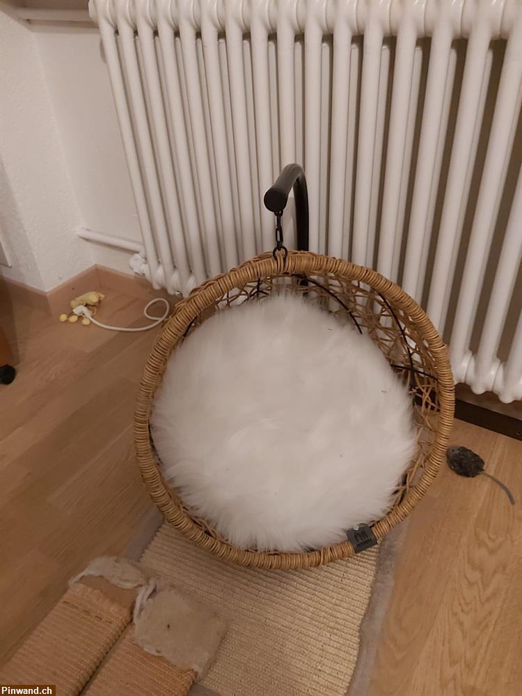 Bild 2: Verkauf: PetRebels House of Heaven Paris 47 Katzenbett