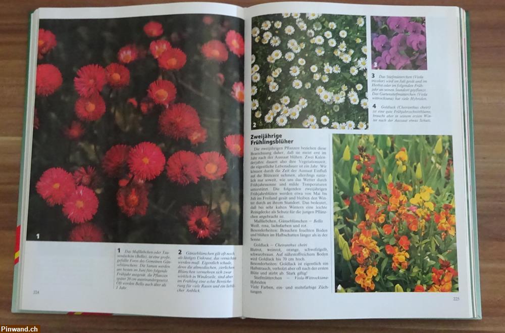 Bild 2: Mein Grosses Gartenbuch