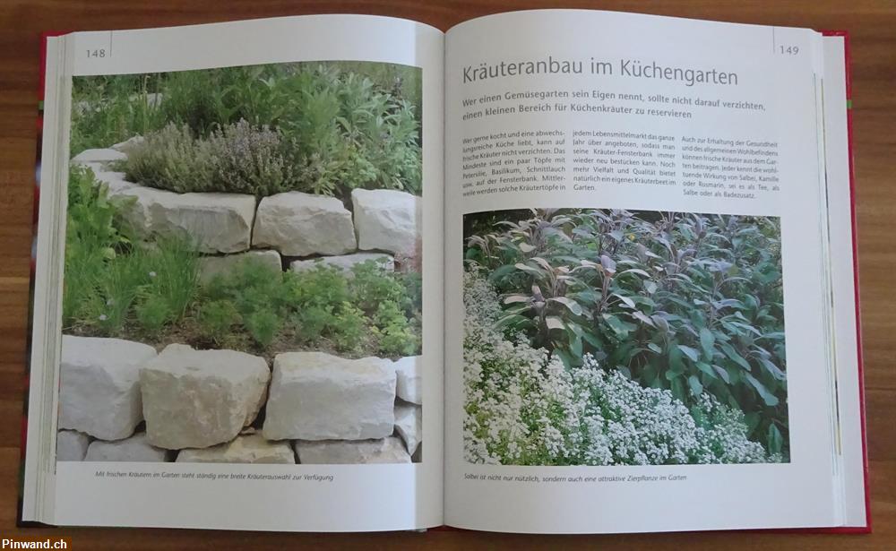 Bild 2: Der erntefrische Küchengarten