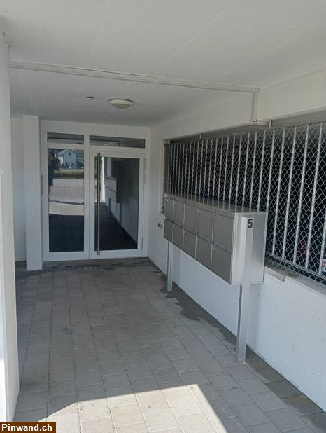 Bild 3: Miete: 3.5 Parterrewohnung inkl. Tiefgaragenplatz