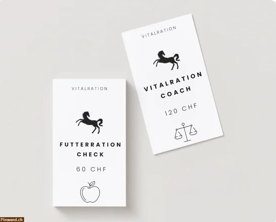 Bild 1: Vitalcoach für Pferd & Pony