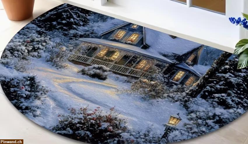 Bild 2: Winterhaus-Fußmatte - Halbkreis zu verkaufen