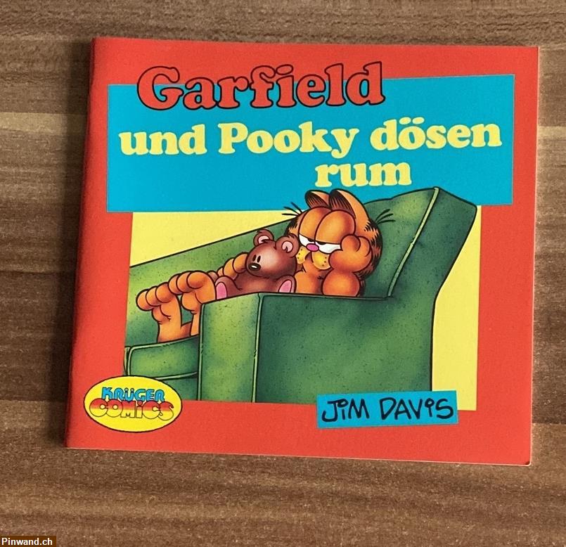 Bild 1: Garfield und Pooky dösen rum
