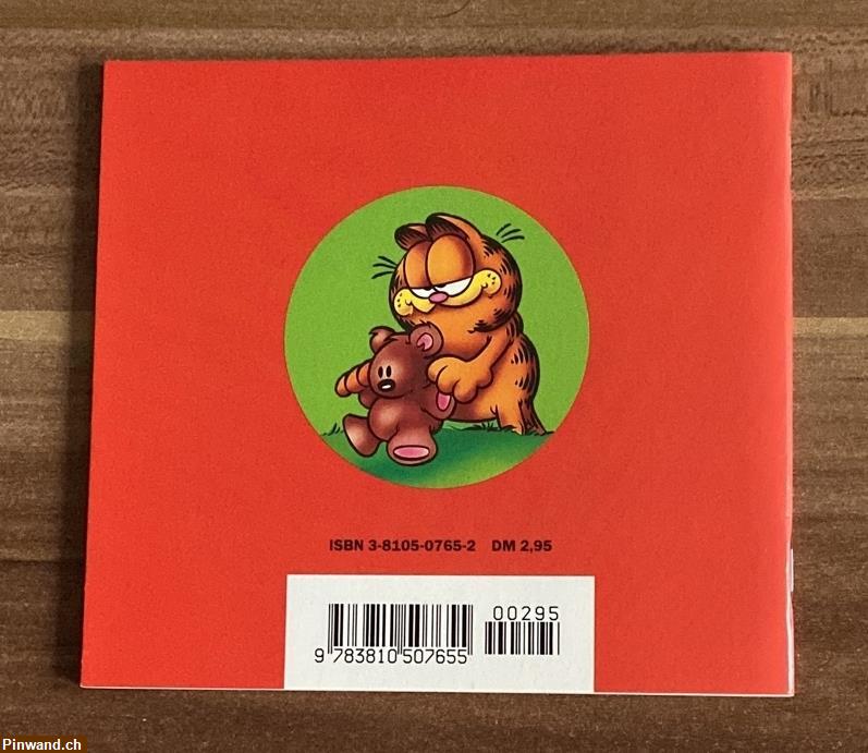 Bild 2: Garfield und Pooky dösen rum