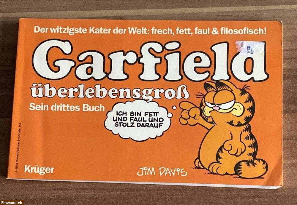 Bild 1: Garfield überlebensgross zu verkaufen