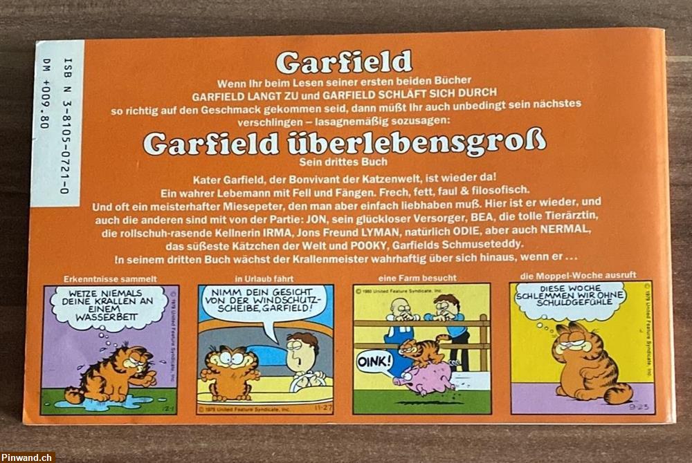 Bild 2: Garfield überlebensgross zu verkaufen