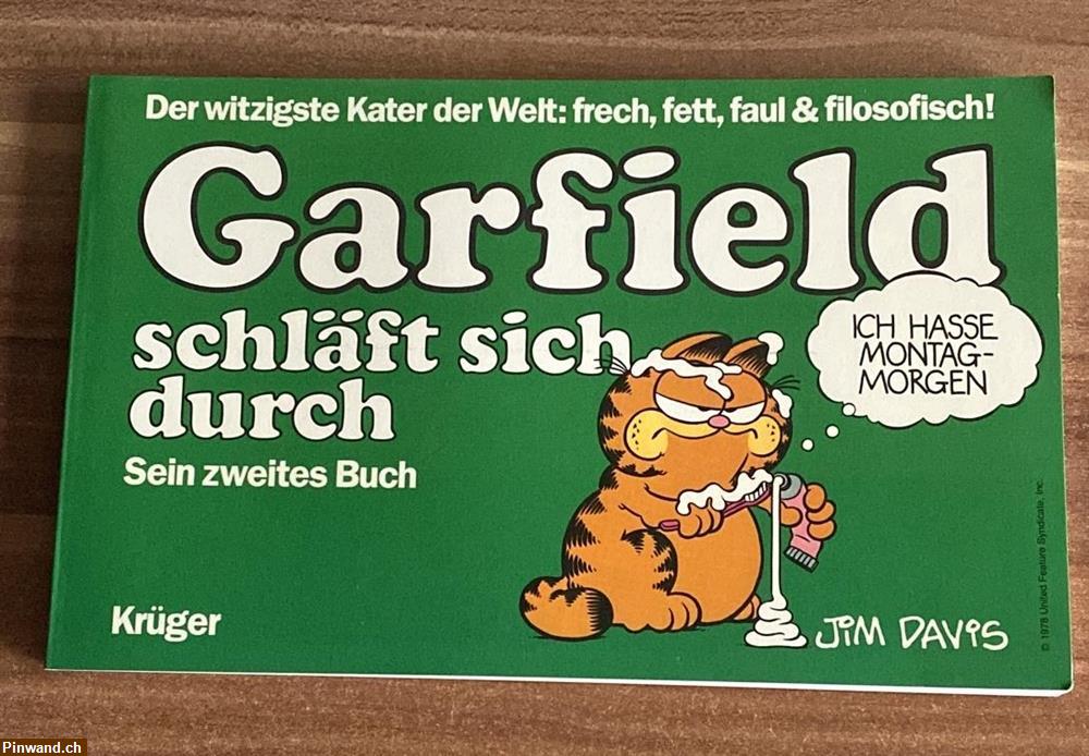 Bild 1: Garfield schläft sich durch zu verkaufen