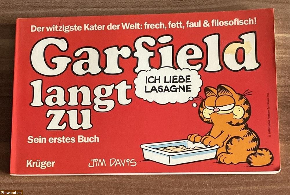 Bild 1: Garfield langt zu, zu verkaufen